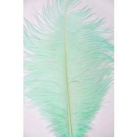 Mint Green Ostrich Feathers/Plumes 22-24 inch 5 Pieces