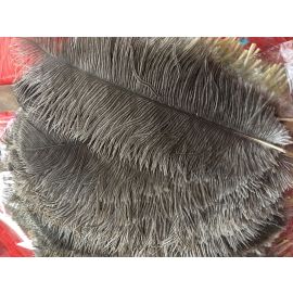 Natural Ostrich Feathers 10-12 inches 12 Pieces for Crafts and Masks