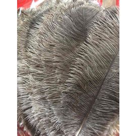 Natural Color/ undyed Ostrich Feathers 12-14 inch 100 Pieces