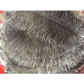 Natural/undyed Ostrich Feathers 12 Pieces-12-14 inches