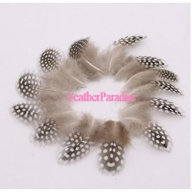 Loose Natural/Undyed  Plumage Guinea Package 7g/bag