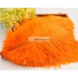 Orange Ostrich Feathers/plumes 16-18 inch 5 Pieces