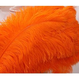 Orange Ostrich Feathers Male Wing Plumes 24-26 inches 50 Pieces