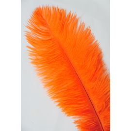 Orange Ostrich Feathers 8-10 inch 100 Pieces