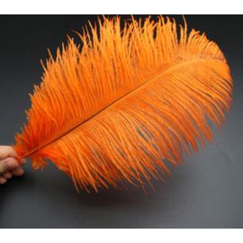 Orange Ostrich Feathers 12-14 inch 100 Pieces