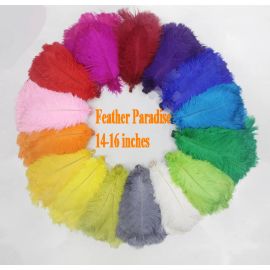 Ostrich Feathers 14-16 inches 500 Pieces Any colors in the picture