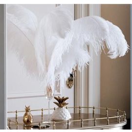 12pcs White  25-29 inches Ostrich Wing Plume Large South Africa Ostrich Feathers