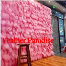 Ostrich Feather wall Events Photo Backdrop Star Wall Backdrop Wall Sweet sixteen!