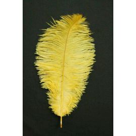 Gold Ostrich Feathers 6-8 inch 12 Pieces