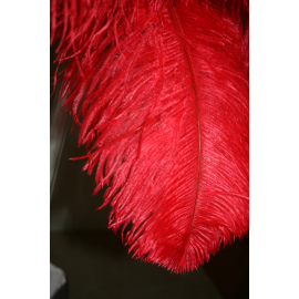 Red Ostrich Plume 16-18 inch 50 Pieces