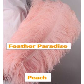 22-24 inches Peach Ostrich Feather Large Male Ostrich Plume Feathers 50pcs Popular color!!!