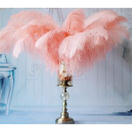 18-20  inches Peach Ostrich Feather Large Male Ostrich Plume Feathers 50pcs  Popular color!!!