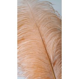 Peach  Ostrich Feathers 10-12 inches 100 Pieces