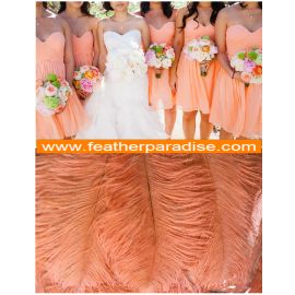PEACH  Ostrich Feathers 10-12 inch 100 Pieces