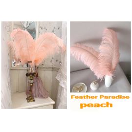 22-24 inches Peach Ostrich Feather Large Male Ostrich Plume Feathers 5pcs  Popular color!!!