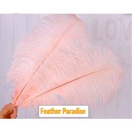 18-20 inches Peach Ostrich Feather Large Male Ostrich Plume Feathers 12 pcs Popular color!!!