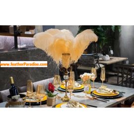 Peach Ostrich Feathers 14-16 inches 50 Pieces
