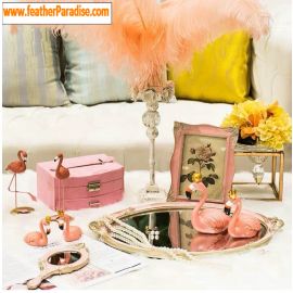 Peach Ostrich Feathers 14-16 inch 50 Pieces
