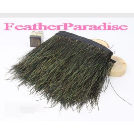 Peacock Trim Peacock Tape Fringe 10 yards