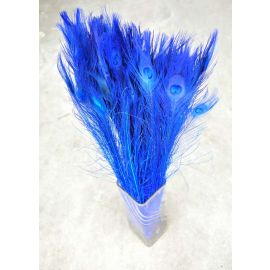 Bleached and Dyed Peacock Eye Feathers 30-35" 12 Pieces - Royal Blue