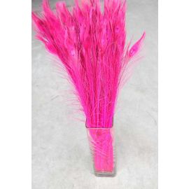 Bleached and Dyed Peacock Eye Feathers 40-45" 12 Pieces - Hot Pink