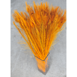 Bleached and Dyed Peacock Eye Feathers 30-35" 12 Pieces - Gold