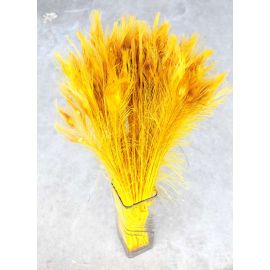 Bleached and Dyed Peacock Eye Feathers 30-35" 12 Pieces - Yellow