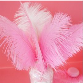 Wholesale!!!   Ostrich Feathers 8-10 inch 1000 Pieces Any colors in the picture