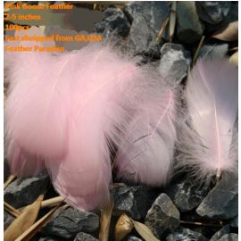 100 Pieces Packed Goose Nagorie Feathers Loose Feather  Feather Fillers Feather Confetti Pink