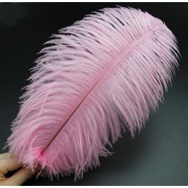 Baby Pink Light Pink  Candy Pink Ostrich Feathers 12 Pieces-12-14 inch Dozen
