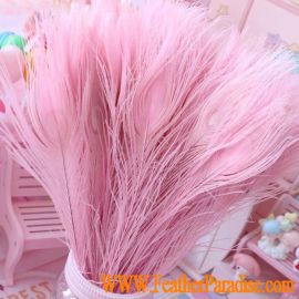 Pink Peacock Eyes Feathers 10-12 inches Natural Peacock Feathers 100pcs Sweet Sixteen