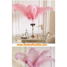 Blush Pink Wedding Ostrich Feather 12-14 inches 100 pcs