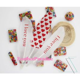 50pcs Printed Feather Feather Book Mark Dream Catcher Feather