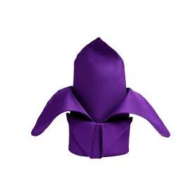 Purple Polyester napkin 48cm*48cm