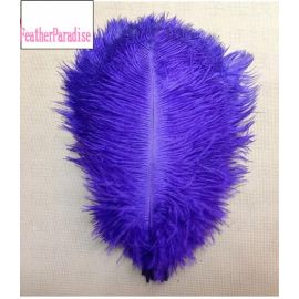 Purple Ostrich Feathers 10-12 inches 100 Pieces