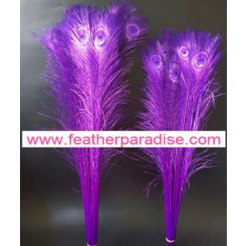 Bleached and Dyed Peacock Eye Feathers 40-45" 12 Pieces - Purple