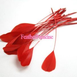100pcs Stripped Goose Feathers Stripped Pallet Feathers 6-8 inches Red