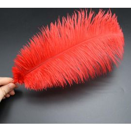 Red Ostrich Feathers 12-14 inch 12 Pieces