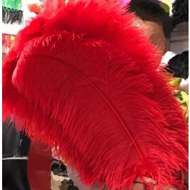 Red Ostrich Plumes Male Ostrich Wing Large Feathers 24-26 inch 12 Pieces