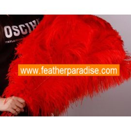Red Ostrich Feathers Male Ostrich Wing Plumes 28-30 inch 5 Pieces
