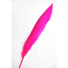 Silver Pheasant Tail 6-8 inch Hot Pink 12 Pieces