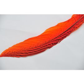 Silver Pheasant Tail  6-8" Orange 12 Pieces