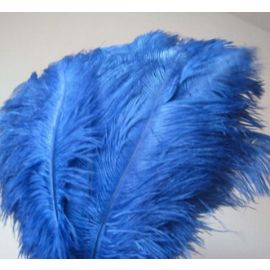 Royal Blue Ostrich Feathers Male Ostrich Wing Plumes 24-26 inch 5 Pieces
