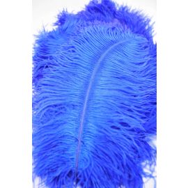 Blue/Royal Blue Ostrich Feathers 10-12 inch 12 Pieces