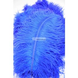 Blue/Royal Blue Ostrich Feathers/Plumes/Wings 22-24 inch 50 Pieces