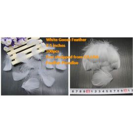 100 Pieces Packed Goose NAGOIRE Feathers Loose Feather  Feather Fillers Feather Confetti Silver