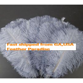 Silver Ostrich Feathers 10-12 inch 100 Pieces