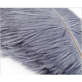 Silver Ostrich Feathers Plumes/Wings 22-24 inch 5 Pieces
