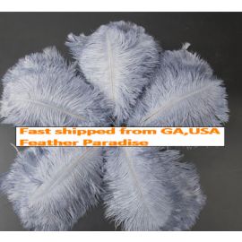 Silver Ostrich Feathers 12-14 inch 100 Pieces