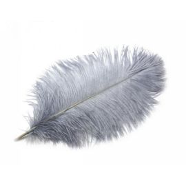 Silver Ostrich Feathers 8-10 inches 12 Pieces